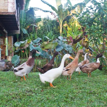 Villa Jasri Dalem Surf Retreat Exterior foto