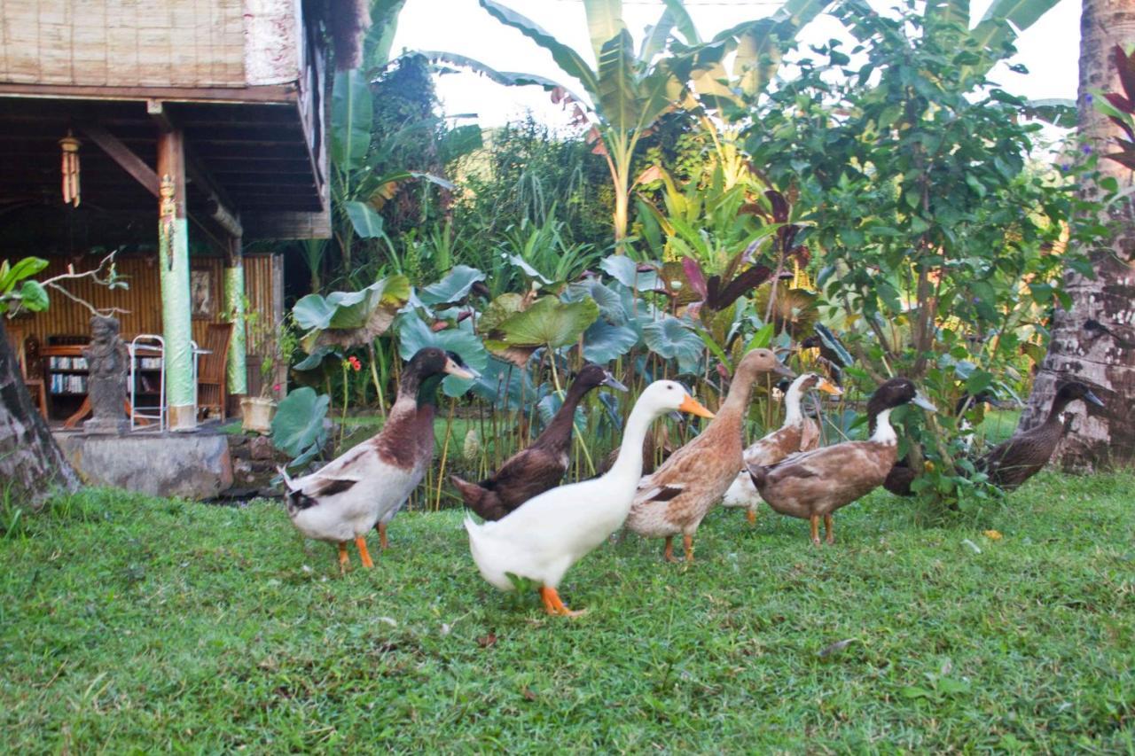 Villa Jasri Dalem Surf Retreat Exterior foto
